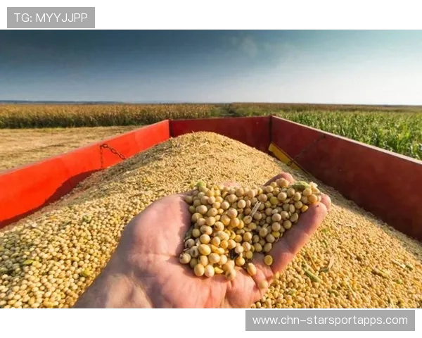 中国停购美豆4个月，贸易关系紧张加剧，中国还在买美国大豆吗