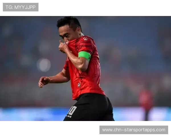 中国足球球迷维权与舆论监督机制健全性探讨，中国足球球迷的心声