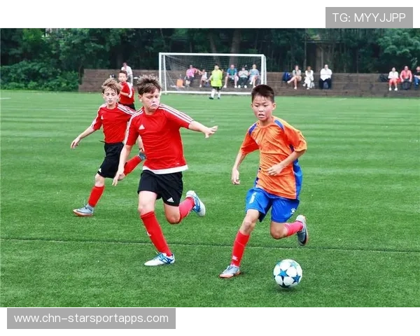 青训竞技水平评估标准通过 专家参与制定，青训水平什么意思